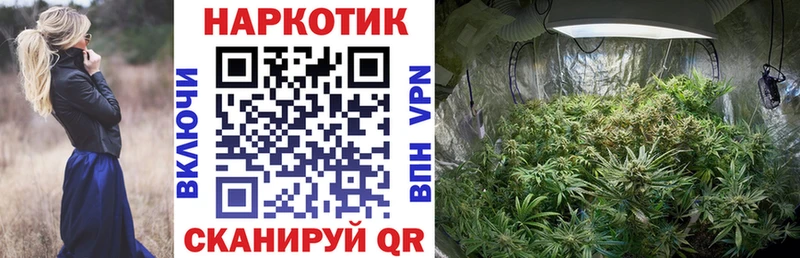 Наркота Лиски Гашиш  A-PVP  Псилоцибиновые грибы  Конопля  Cocaine  Мефедрон 