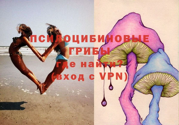 спиды Алексеевка