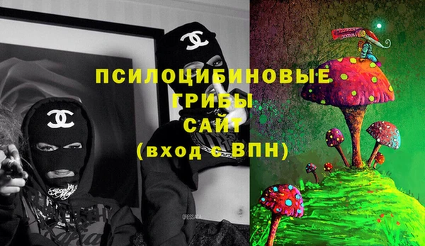 спиды Алексеевка