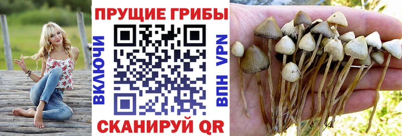 Псилоцибиновые грибы прущие грибы  Лиски 